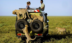 6 Days Tanzania Adventure Safari