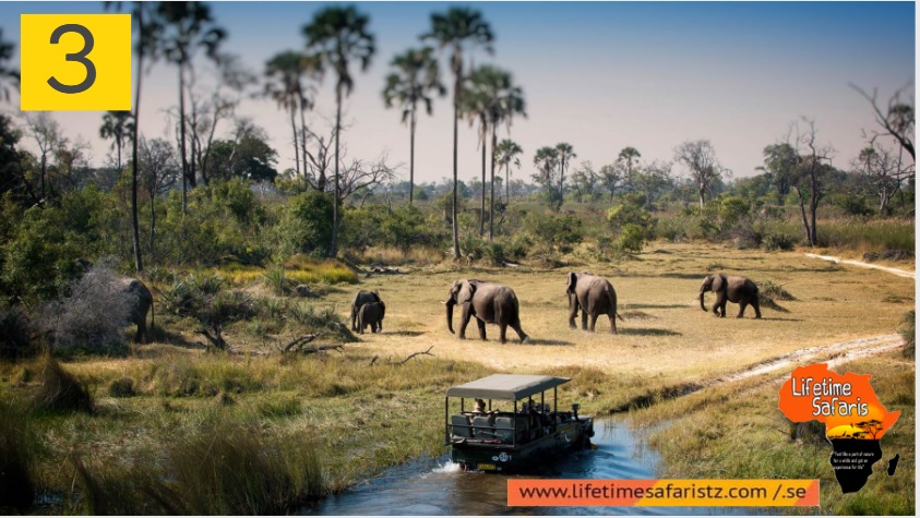 Things To Know Before Plan Tanzania Safari Tours