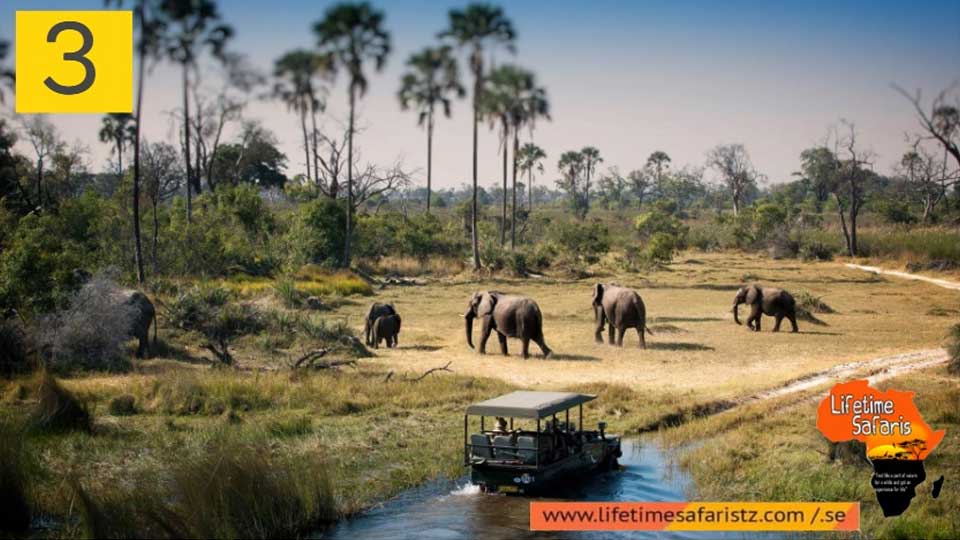 5-thing-to-know-before-planningyour-tanzania-safari-tours-in-2019-featured