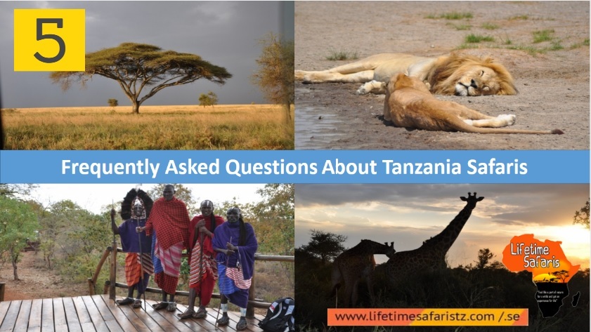 Tanzania Safari FAQs