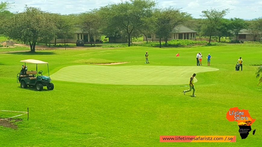 Best Time To Go On Tanzania Golf Safari