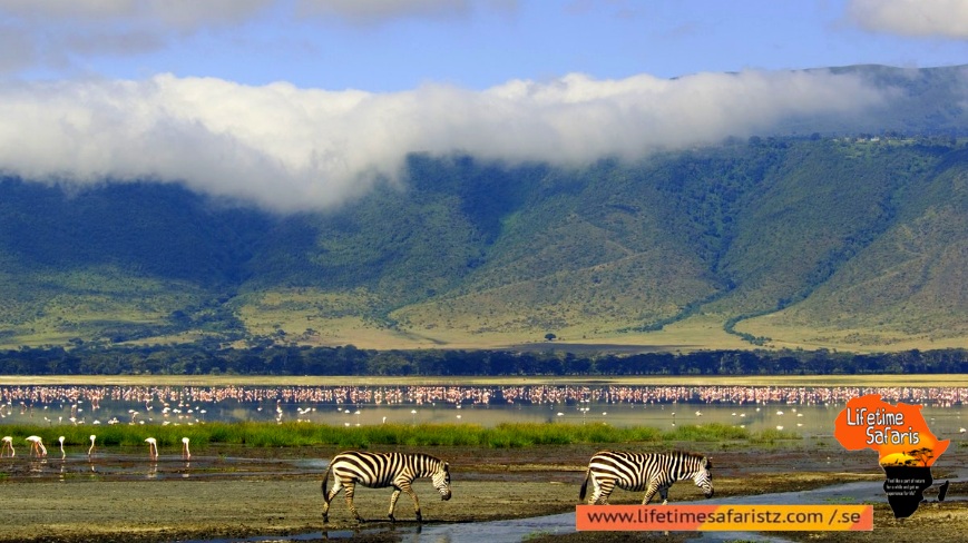 Largest Unbroken Calderas With Full Of Wildlife - Ngorongoro Conservation Area