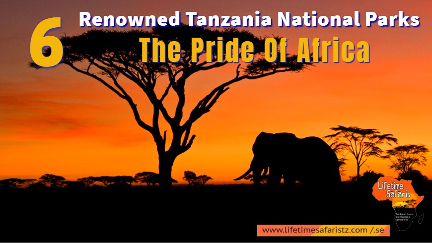 Tanzania National Parks