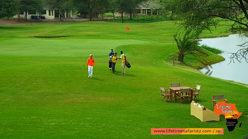 What Can You Experience In Your Tanzania Golf Safari