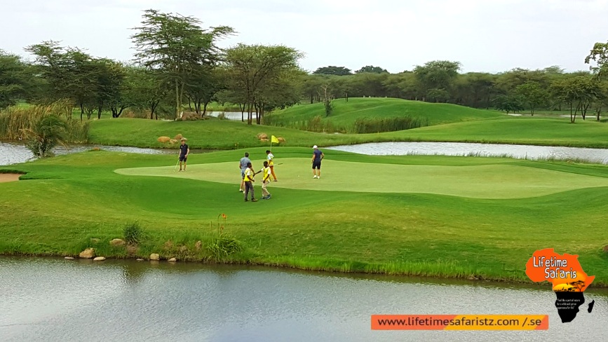 Where To Go For Enjoying Golf Safari In Tanzania