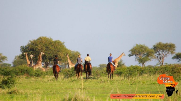 Tanzania Horse Riding Safari For Some Wilder Experiences 