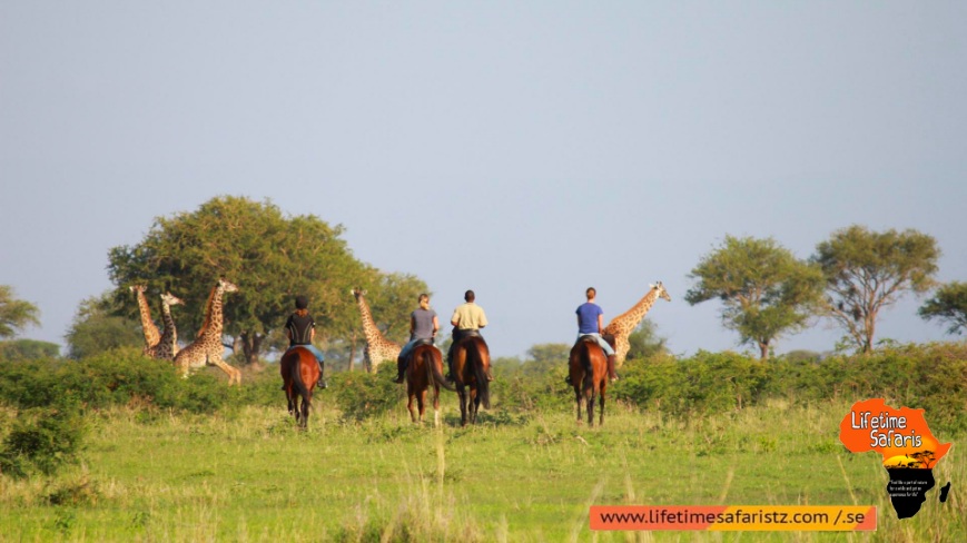 Moments That Can Only Be Fulfilled By Tanzania Horse Riding Safari