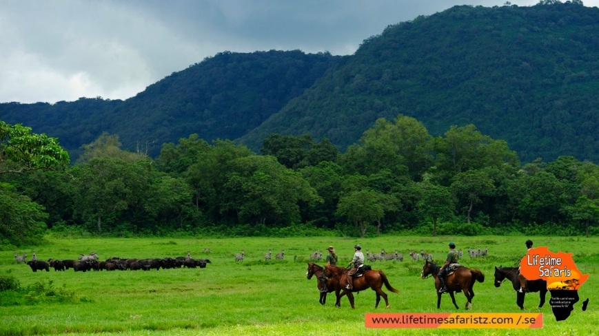 Reason To Select Tanzania Horse Riding Safari