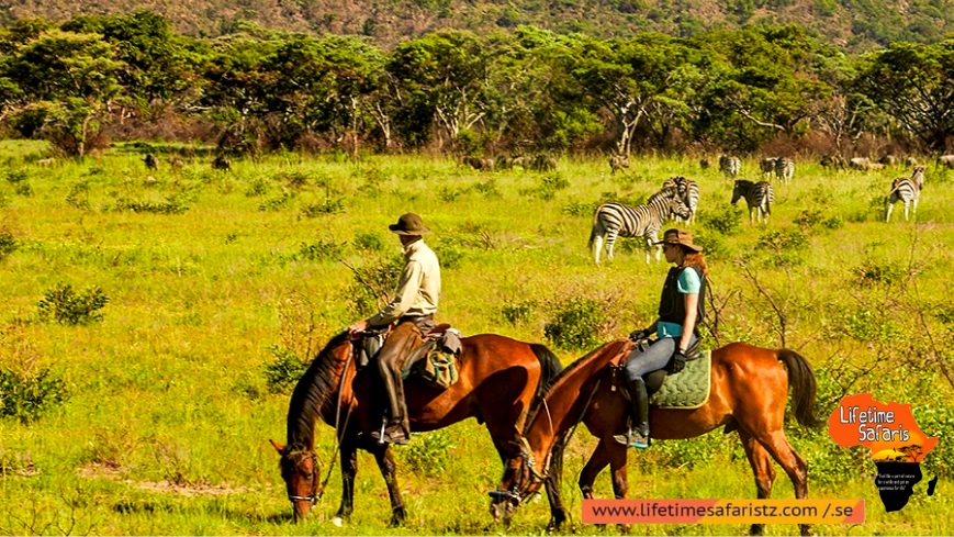 Speciality Of Horse Riding Safari Tanzania