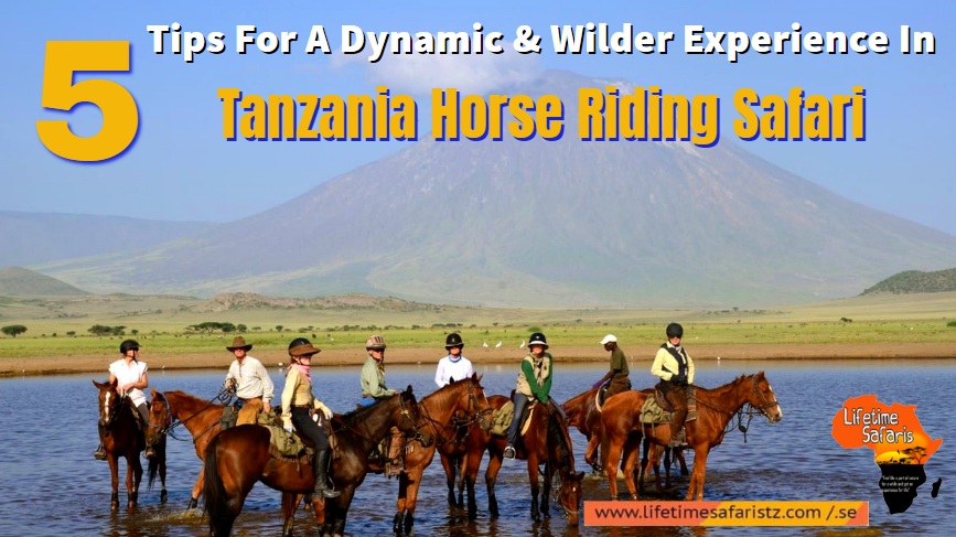 Tanzania Horse Riding Safari