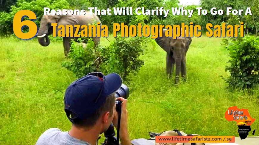 Tanzania Photographic Safari
