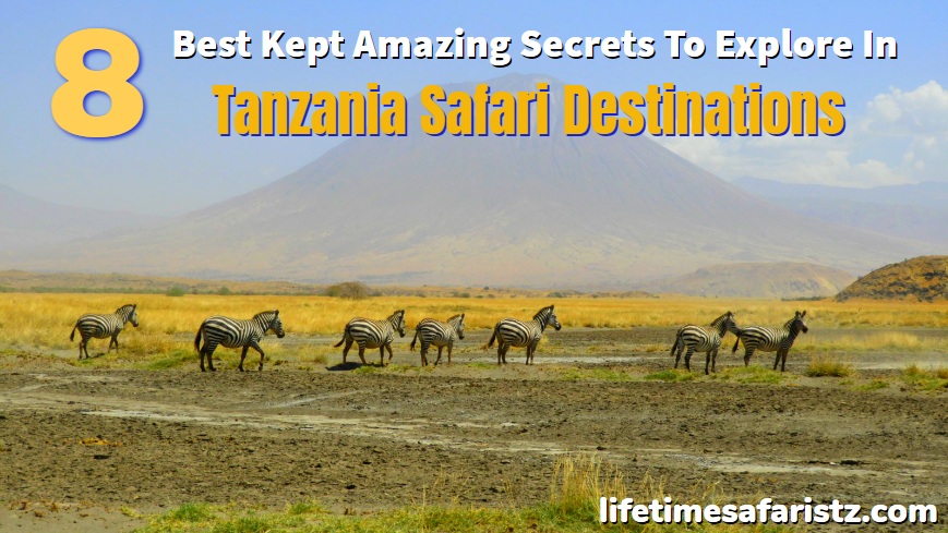 Tanzania Safari Destination