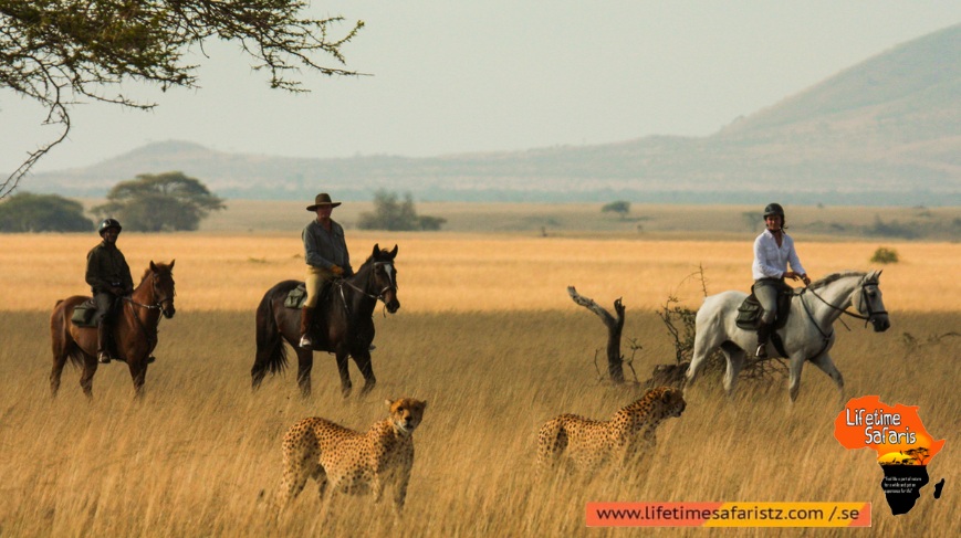 Which Places To Go For Tanzania Horse Riding Safari