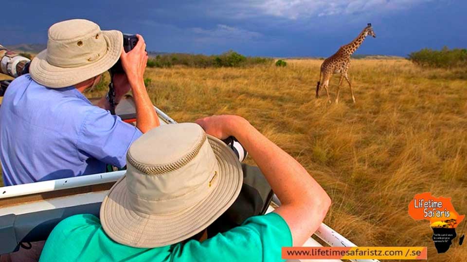 why-you-need-to-go-on-a-photographic-safari-to-tanzania-with-lifetime-safaris-featured