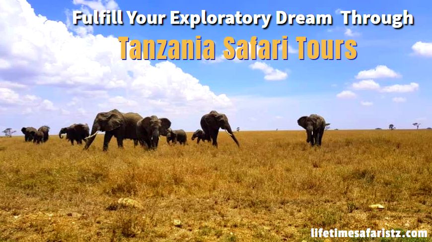 Tanzania Safari Tours