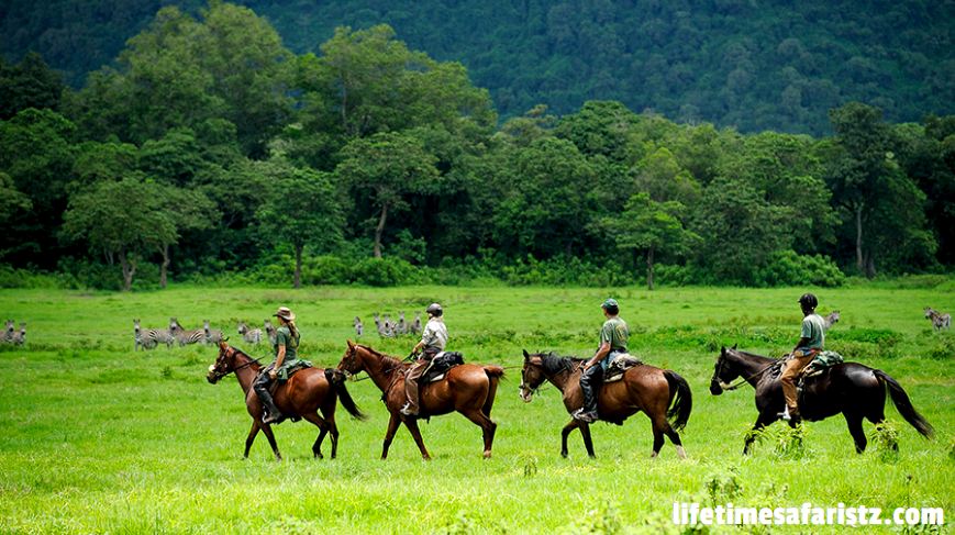 Tanzania Horse Riding Safari