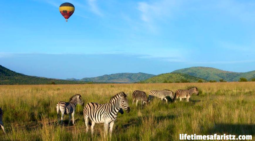 Hot Air Balloon Safari