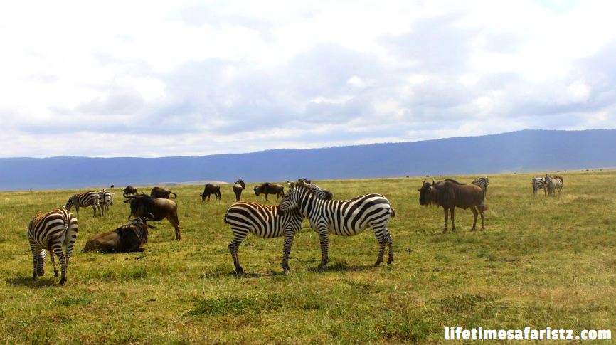 Hiking Small Heights – Ngorongoro Carter