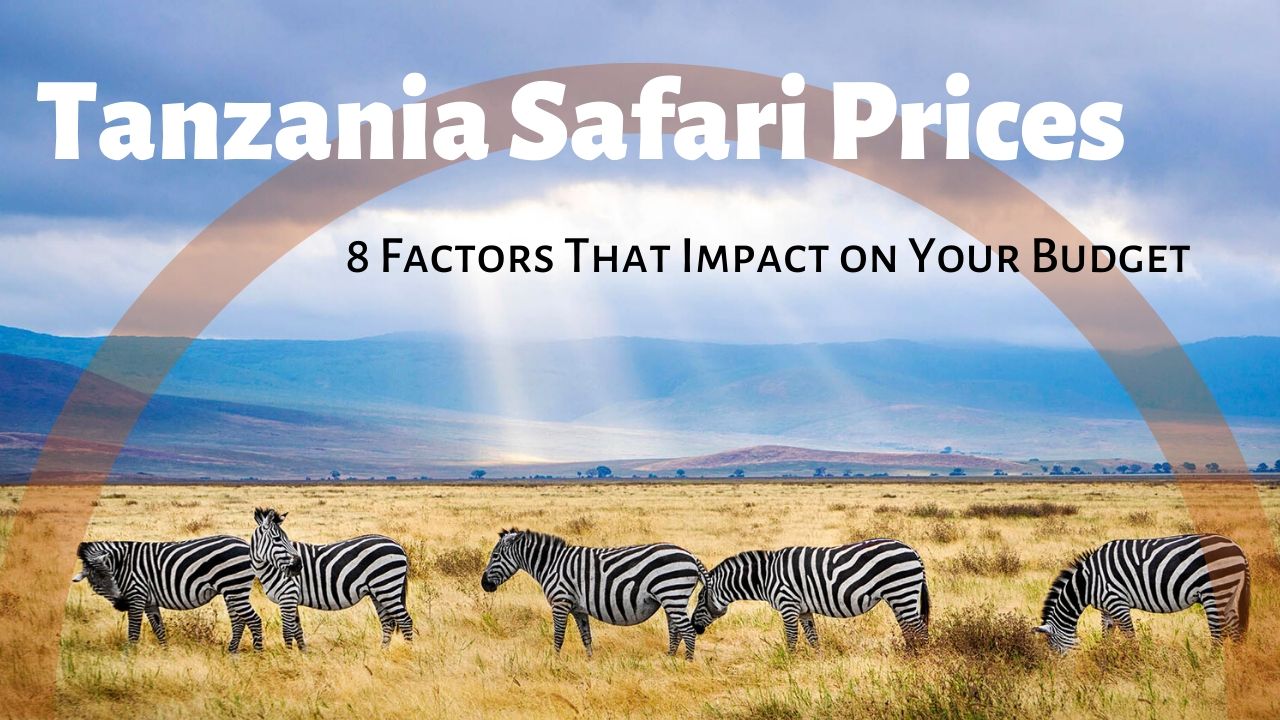 Tanzania Safari Prices