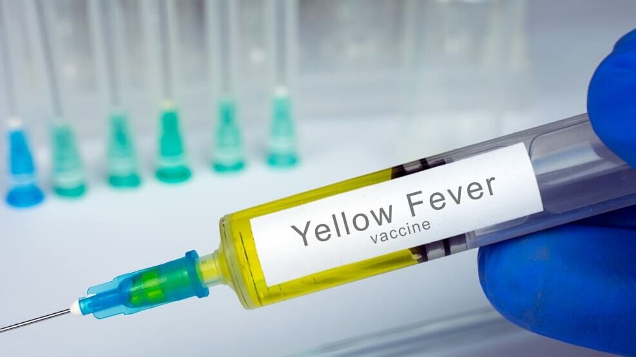 Yellow Fever Vaccination Requirements For Tanzania