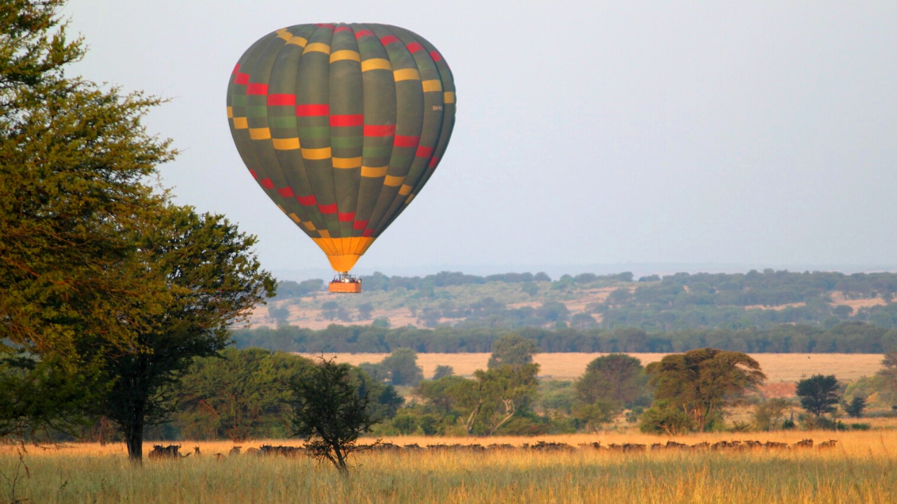 Serengeti hot air balloon Safari