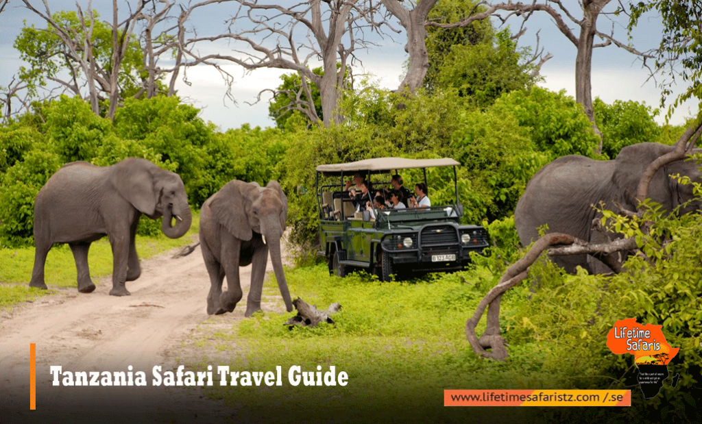 Tanzania Safari Travel Guide