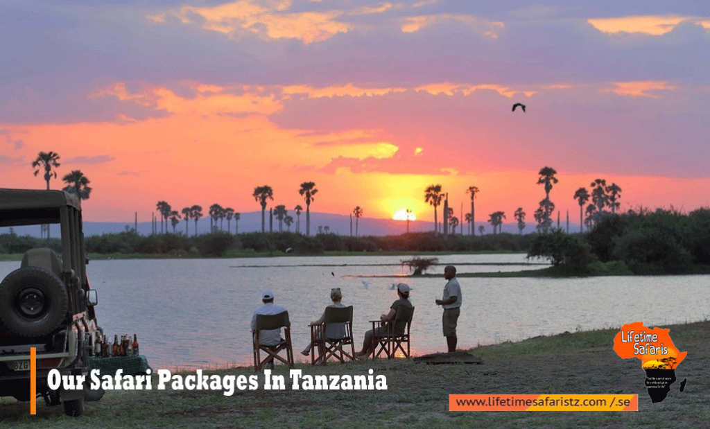 Tanzania Safari Packages