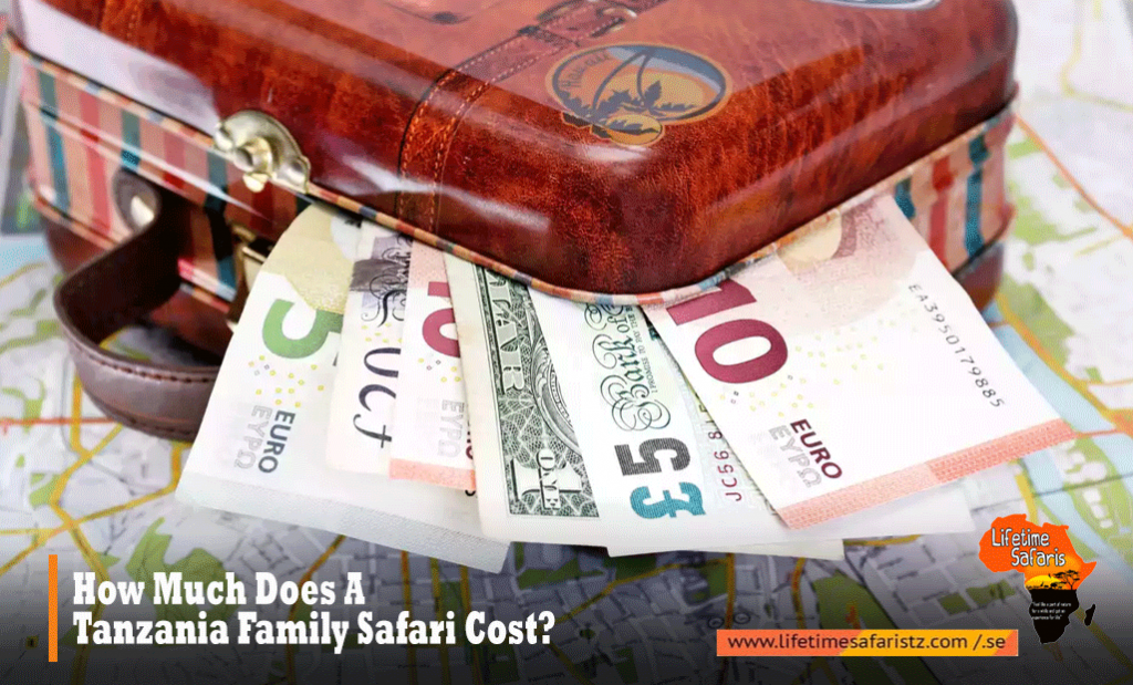 How Much Does A Tanzania Family Safari Cost