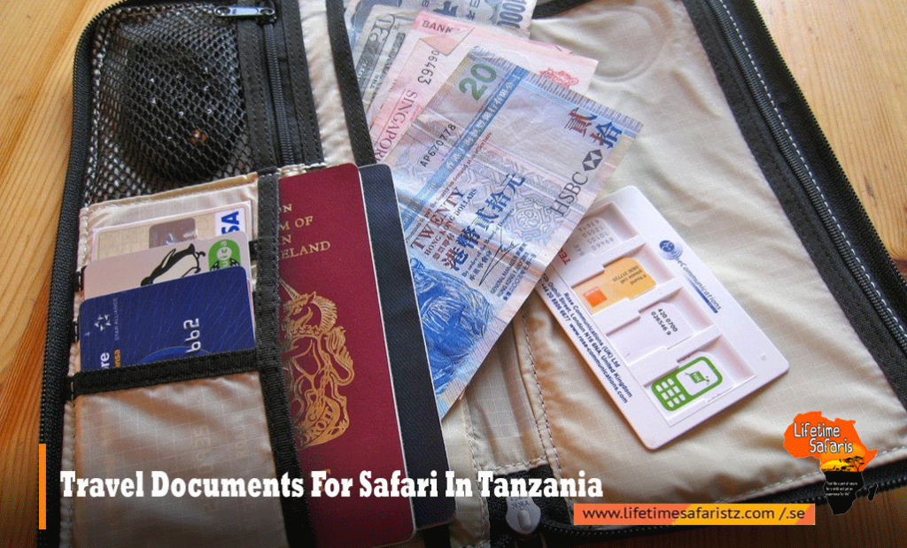 Travel Documents For Safari In Tanzania