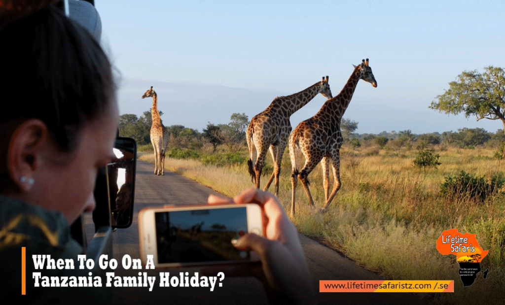 When To Go On A Tanzania Family Holiday