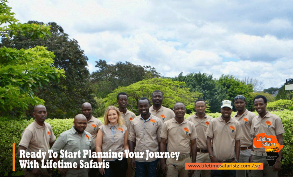 Lifetime Safaris