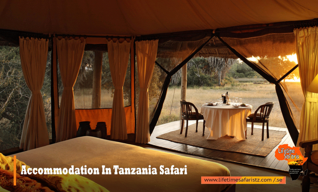Accommodation In Tanzania Safari