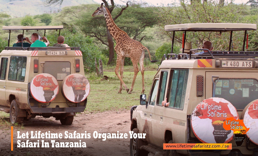 TANZANIA SAFARI TOURS – SPECIALIZED SAFARI WITH UNIQUE ACCESS ...