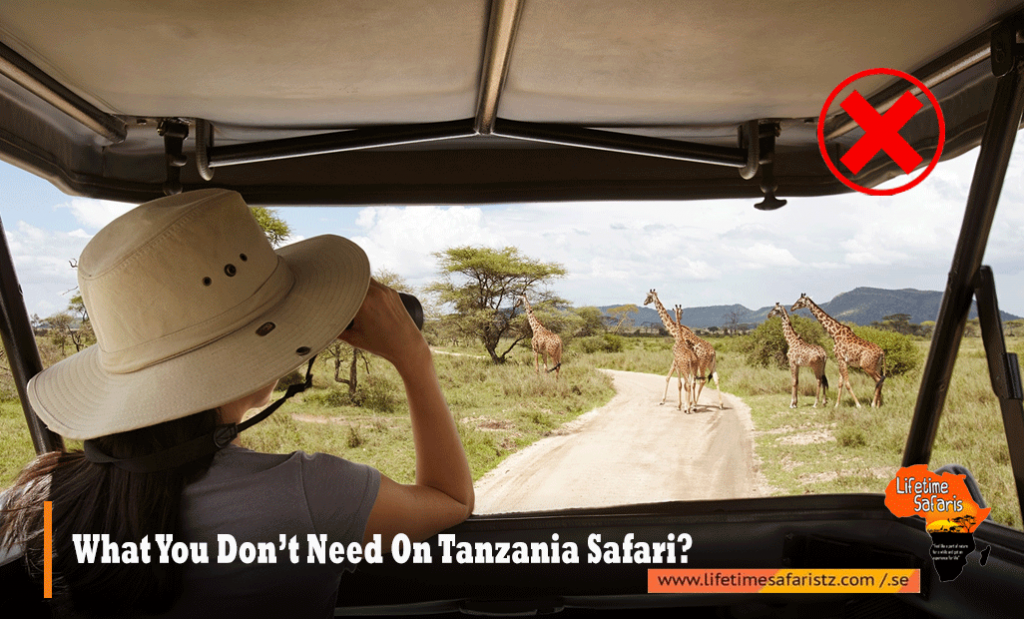 Tanzania Safari