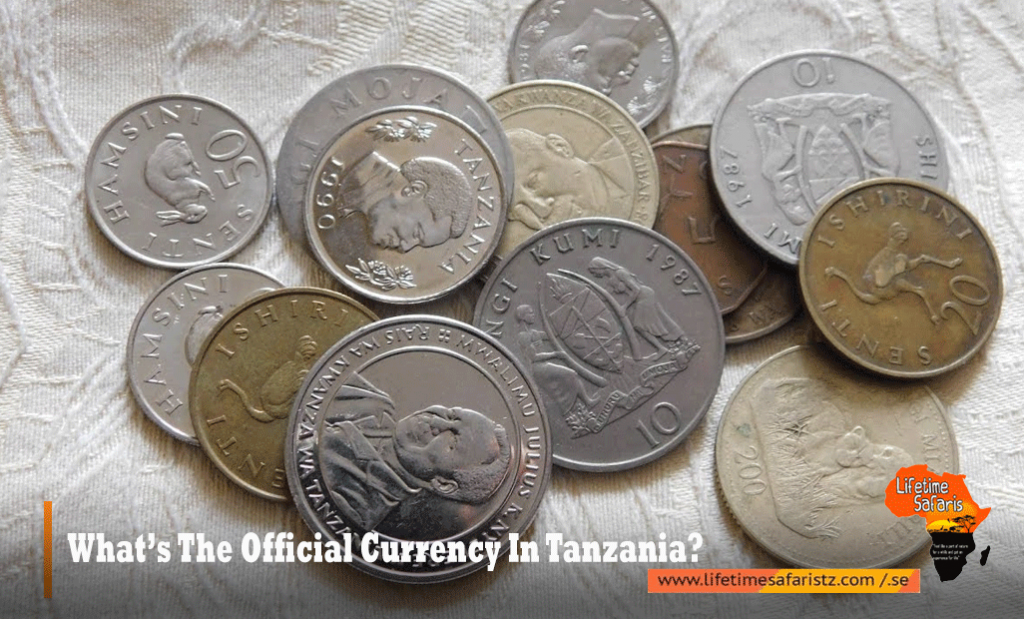 Tanzania Currency