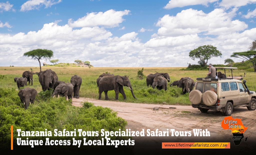 Tanzania-Safari-Tours