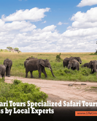 Tanzania-Safari-Tours
