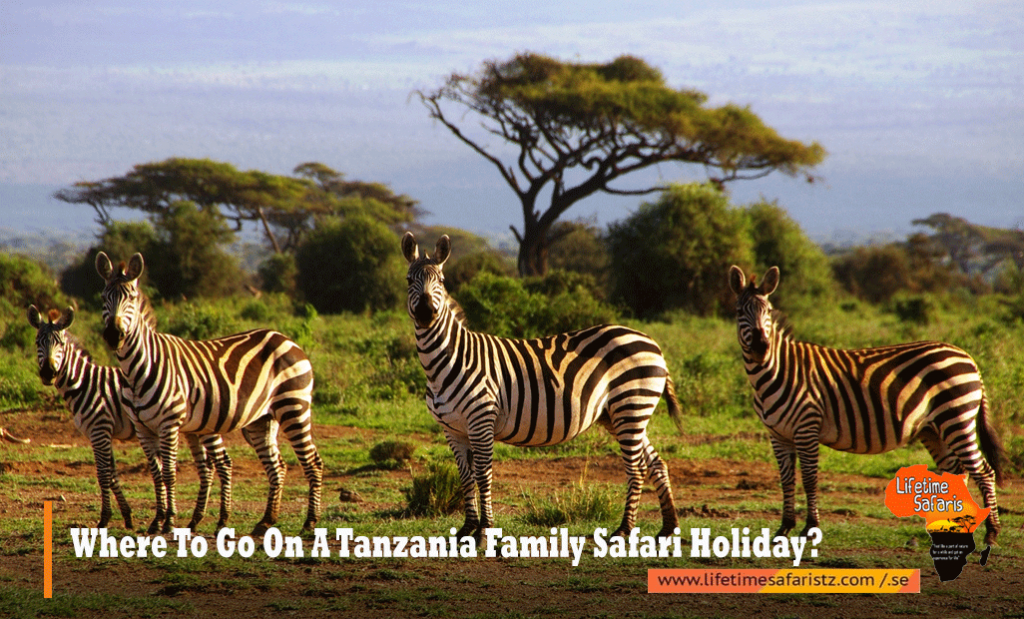 Tanzania Family Safari Holiday