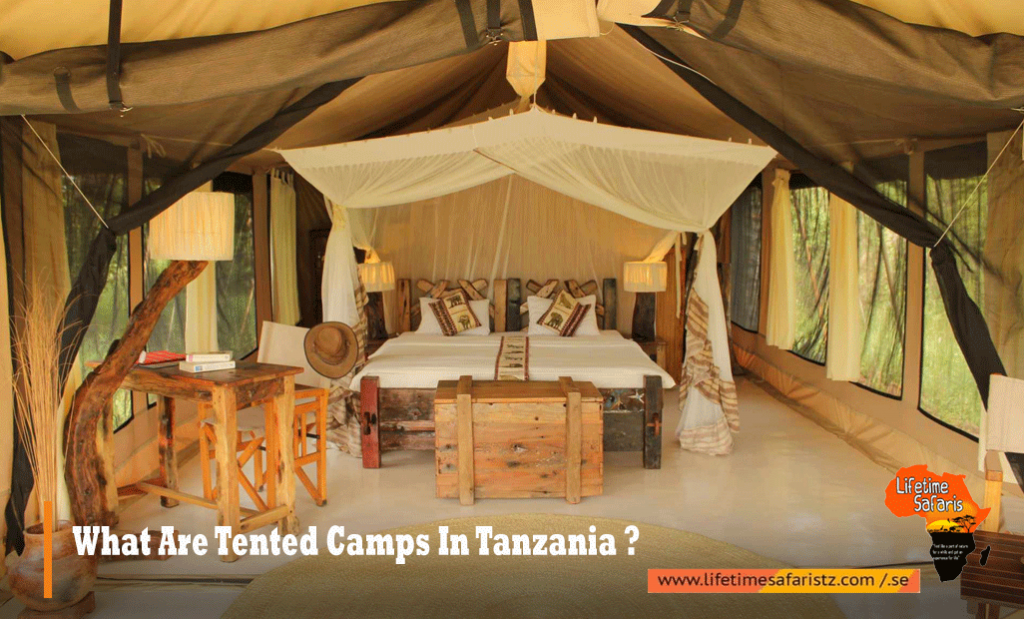 Tented Camps In Tanzania