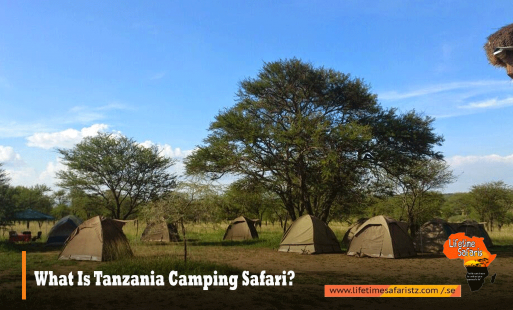 Tanzania Camping Safari