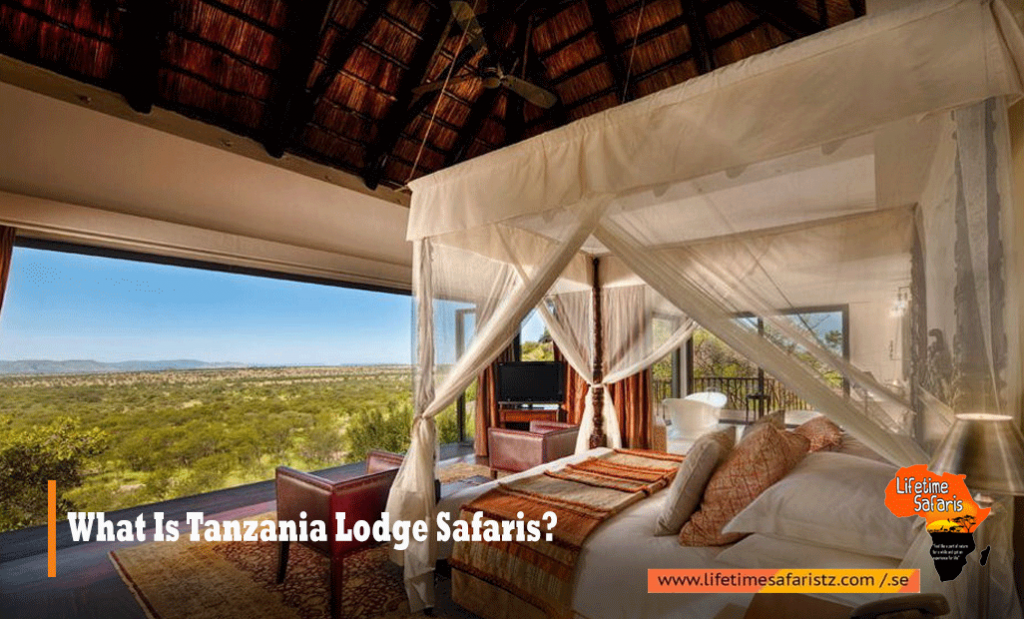 Tanzania Lodge Safari