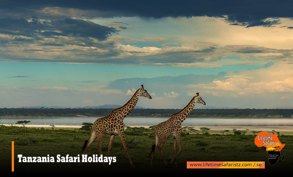Tanzania Safari Holidays