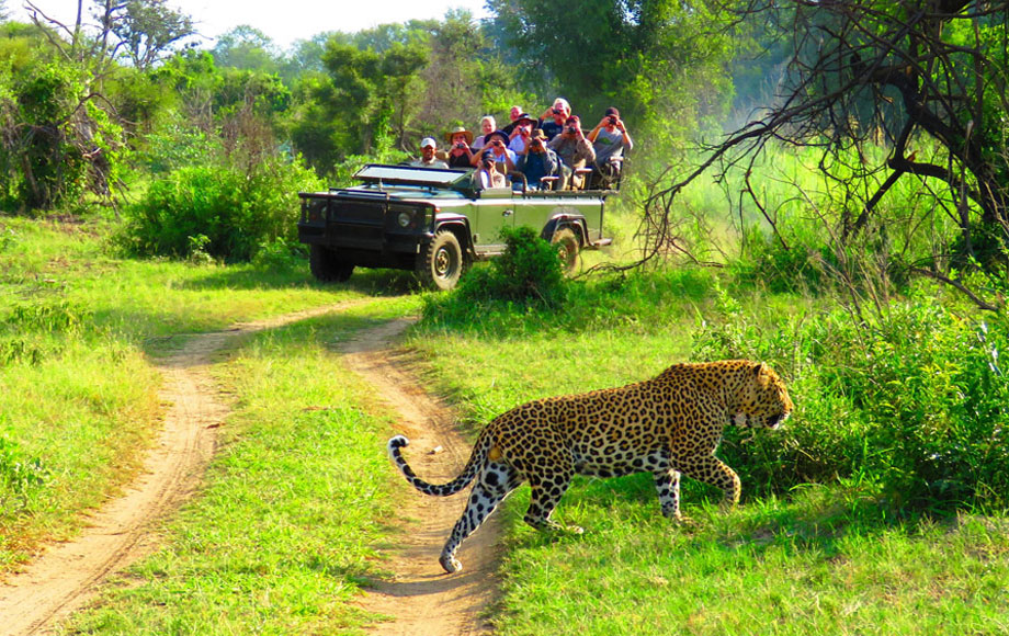  Tanzania Safari Tours