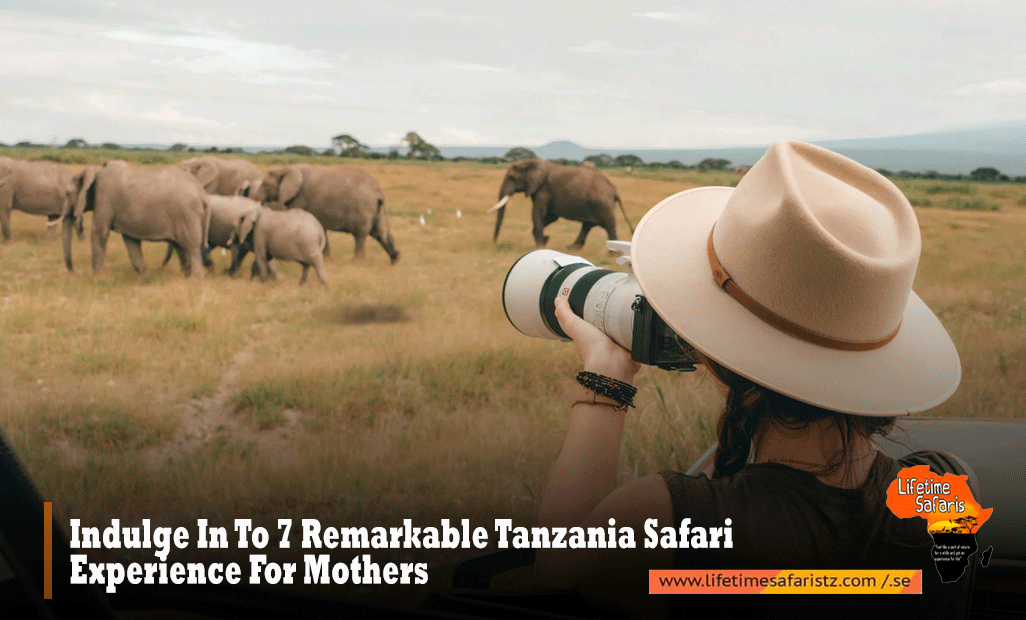 Indulge In To 7 Remarkable Tanzania Safari Experience For Mothers