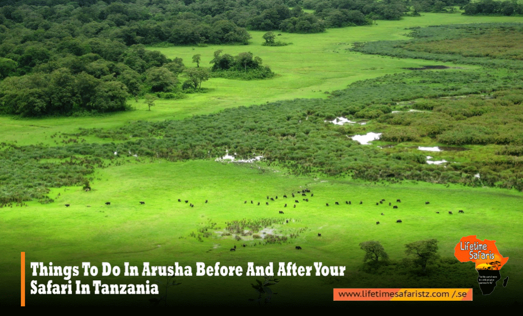 Things To Do In Arusha Before And After Your Safari In Tanzania