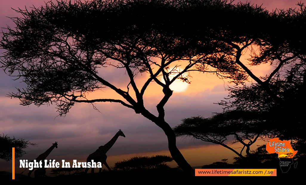 Night Life In Arusha