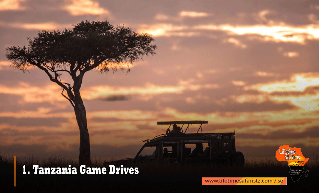 Tanzania Game-Drives