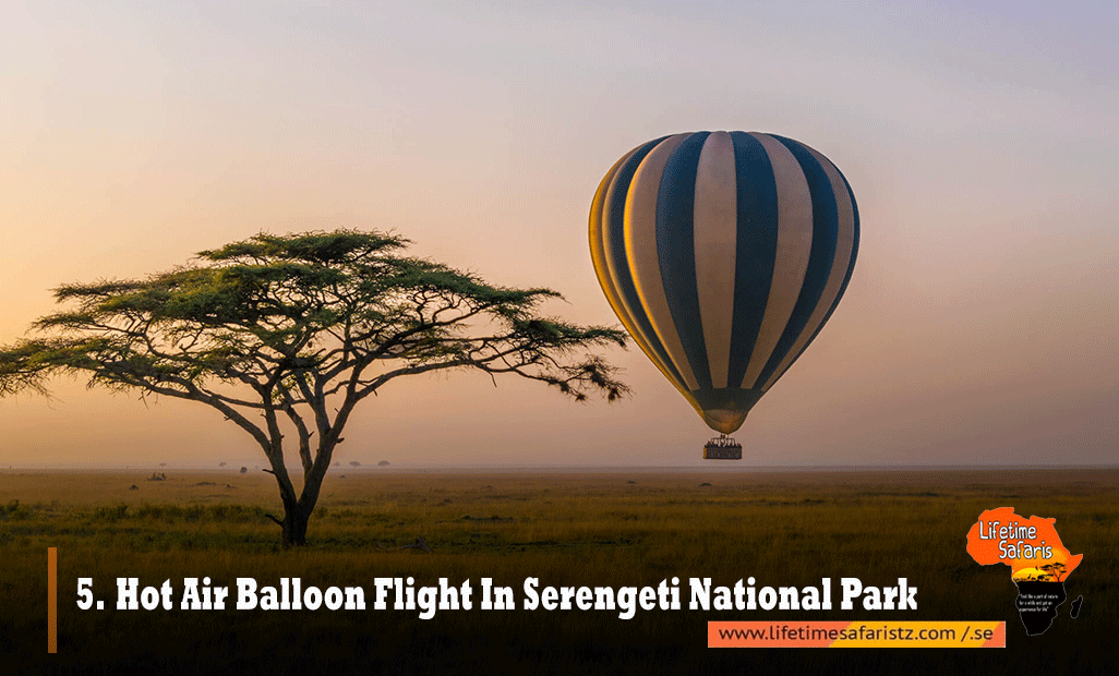 Hot-Air-Balloon-Flight-In-Serengeti-National-Park