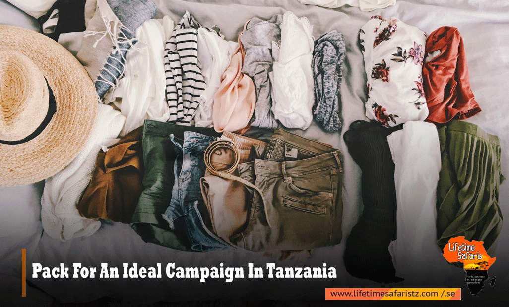 PACK FOR AN IDEAL CAMPAIGN IN TANZANIA