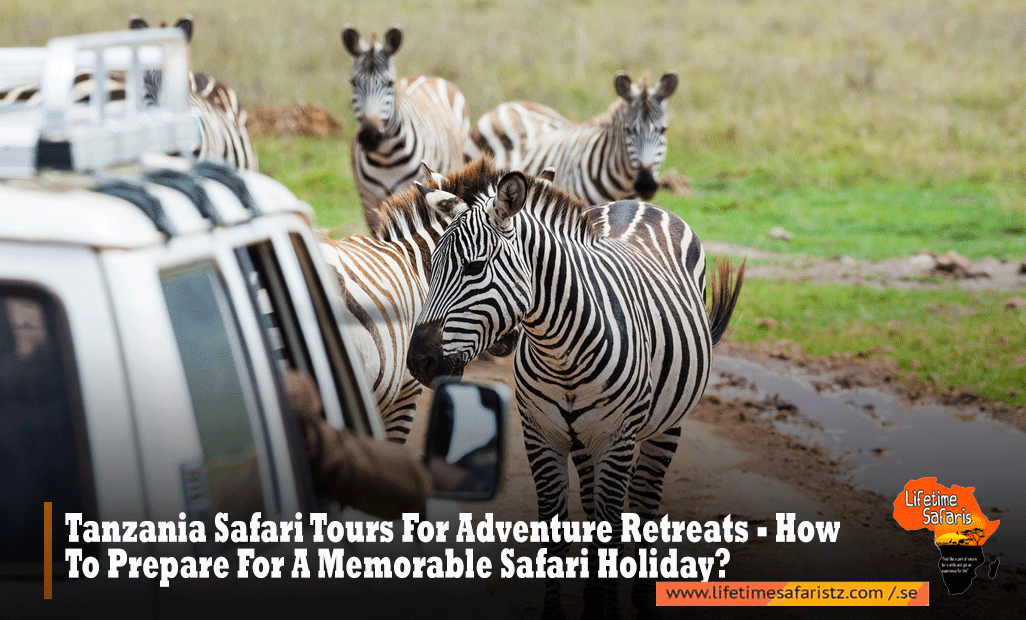 Tanzania-Safari-Tours-For-Adventure-Retreats